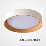 Потолочный светильник WENNY D55 Трехцветный свет