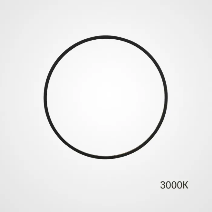 Настенный светильник GUARD D50 3000К от ImperiumLoft
