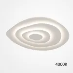 Потолочный светильник GWYN L47 4000К от ImperiumLoft