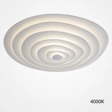 Потолочный светильник GWYN L100 4000К