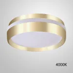 Потолочный светильник FAM 4000К от ImperiumLoft