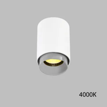 Точечный светильник RESTON White Grey 4000К от ImperiumLoft