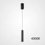 Подвесной светильник WINFRED 4000 К