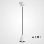 Подвесной светильник DIEGO A Black 4000К