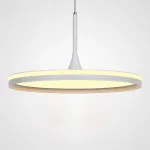 Подвесной светильник DANIKA D40 White Трехцветный свет от ImperiumLoft