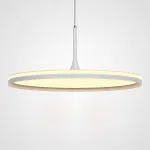 Подвесной светильник DANIKA D50 White Трехцветный свет от ImperiumLoft