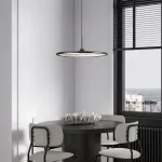 Подвесной светильник TORD ONE D40 Chrome