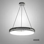 Подвесной светодиодный светильник с черным металлическим корпусом в форме асимметричного кольца SEGOL R D42 4000К от ImperiumLoft