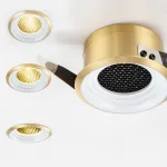 Точечный светильник BIO Brass 10W 3000K от ImperiumLoft