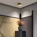 Точечный светильник BIEN D11,5 12W Трехцветный свет от ImperiumLoft