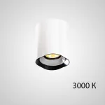 Точечный светильник REXTON A L2 White Yellow 3000 К от ImperiumLoft