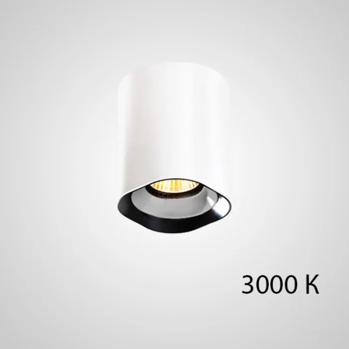 Точечный светильник REXTON A L2 White Yellow 3000 К от ImperiumLoft