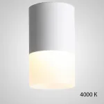 Точечный светильник TUGUR D6.4 Black 4000 К от ImperiumLoft