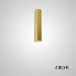 Точечный светильник PAN H20 Gold 4000 К от ImperiumLoft