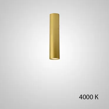 Точечный светильник PAN H20 Gold 4000 К
