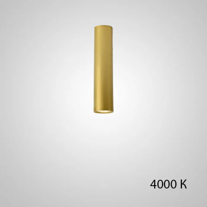 Точечный светильник PAN H20 Gold 4000 К от ImperiumLoft