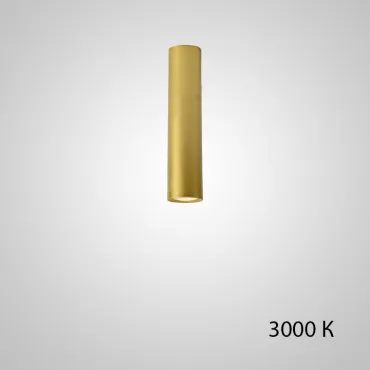 Точечный светильник PAN H20 Gold 3000 К от ImperiumLoft