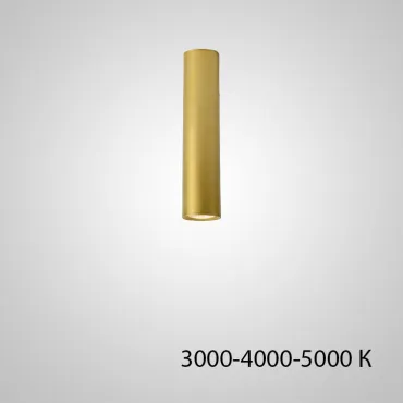 Точечный светильник PAN H20 Gold Трехцветный свет от ImperiumLoft
