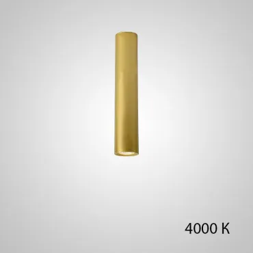 Точечный светильник PAN H30 Gold 4000 К