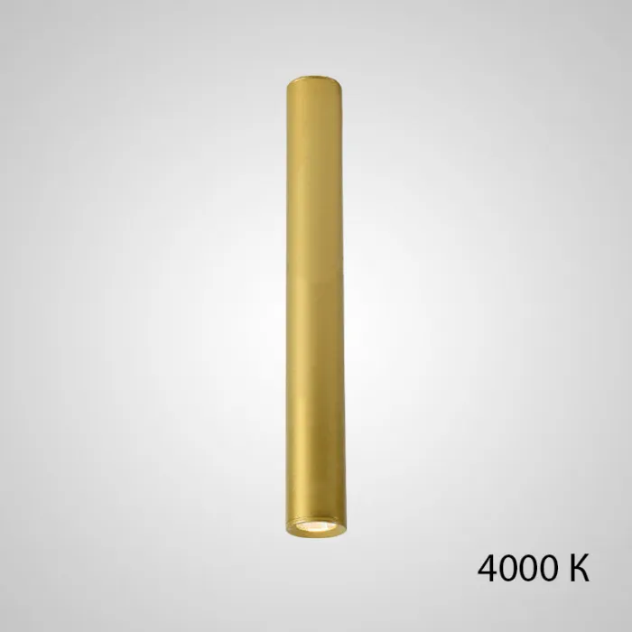 Точечный светильник PAN H80 Gold 4000 К от ImperiumLoft