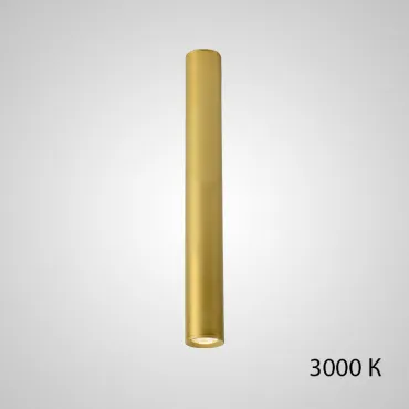 Точечный светильник PAN H80 Gold 3000 К от ImperiumLoft