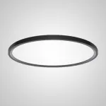 Потолочный светильник EXTRASLIM D100 Black от ImperiumLoft