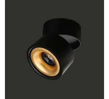 Потолочный светильник AGENDA black+gold 10W