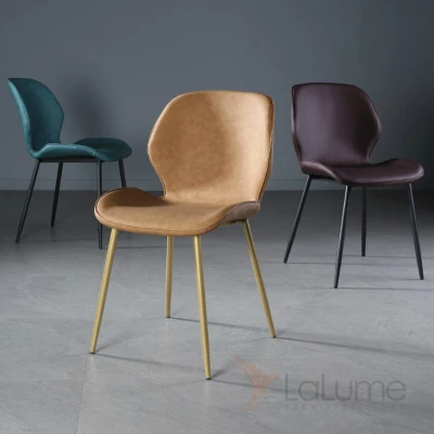 Дизайнерский обеденный стул  LaLume-ST00190  (Вариант исполнения: D)