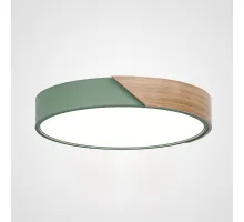 Потолочный светильник CLIP Green D30