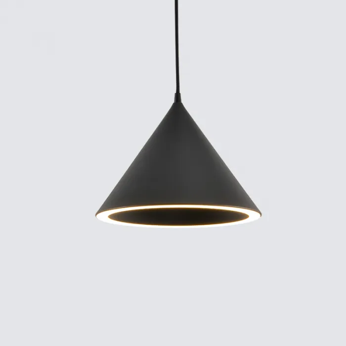 Подвесной светильник Woud Annular D25 Black от ImperiumLoft