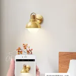 Серия золотых настенных светильников с деревянным элементом ALISON GOLD WALL Dark Brown