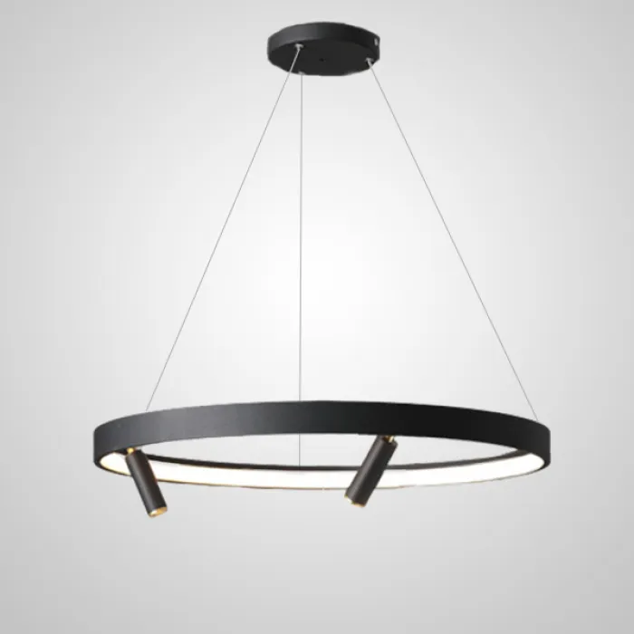 Подвесная люстра RAPID CH D60 Black Brass от ImperiumLoft