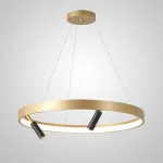 Подвесная люстра RAPID CH D60 Black Brass от ImperiumLoft