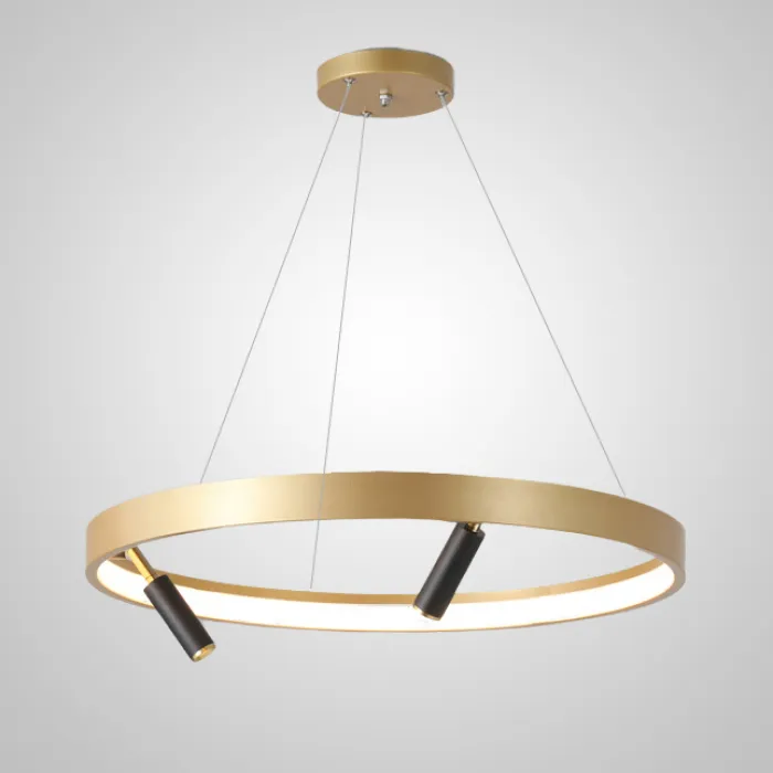 Подвесная люстра RAPID CH D60 Black Brass от ImperiumLoft