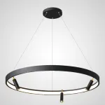 Подвесная люстра RAPID CH D60 Black Brass от ImperiumLoft