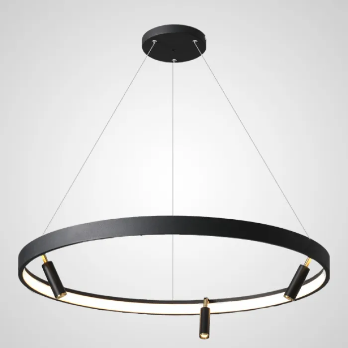 Подвесная люстра RAPID CH D60 Black Brass от ImperiumLoft
