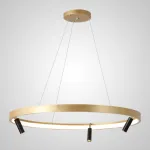 Подвесная люстра RAPID CH D60 Black Brass от ImperiumLoft