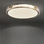 Потолочный светильник RAINA D50