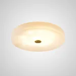 Потолочный светильник SALENA D60