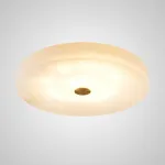 Потолочный светильник SALENA D60