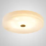 Потолочный светильник SALENA D60
