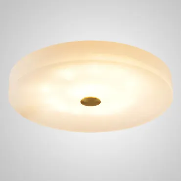 Потолочный светильник SALENA D60