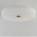 Потолочный светильник SALENA D60
