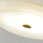 Потолочный светильник SALENA D60