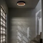 Потолочный светильник RODA CH D50 Dark brown от ImperiumLoft