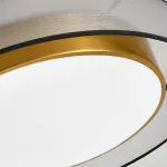 Потолочный светильник DANICA D50 от ImperiumLoft
