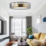 Потолочный светильник DANICA D50 от ImperiumLoft