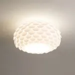 Потолочный светильник LOISE D45