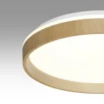 Настенно-потолочный светильник Сонекс BASICA SN 112 7684/EL LED 70Вт 3000-6000K D490 IP43 пульт ДУ GARI WOOD от ImperiumLoft