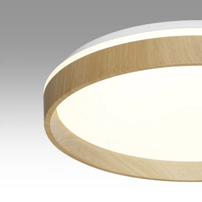 Настенно-потолочный светильник Сонекс BASICA SN 112 7684/EL LED 70Вт 3000-6000K D490 IP43 пульт ДУ GARI WOOD от ImperiumLoft